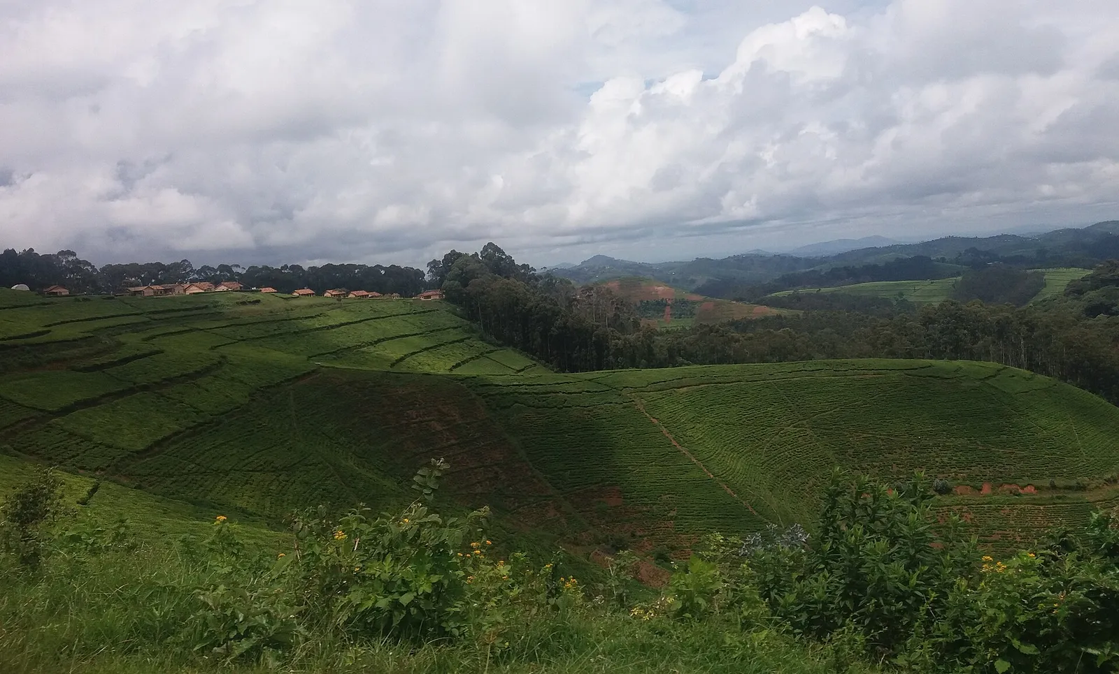 Rwanda