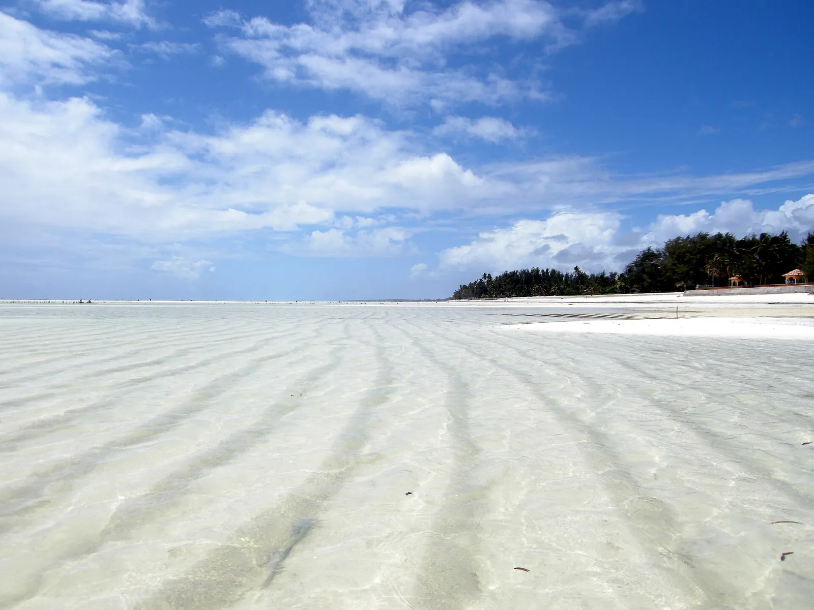 Zanzibar